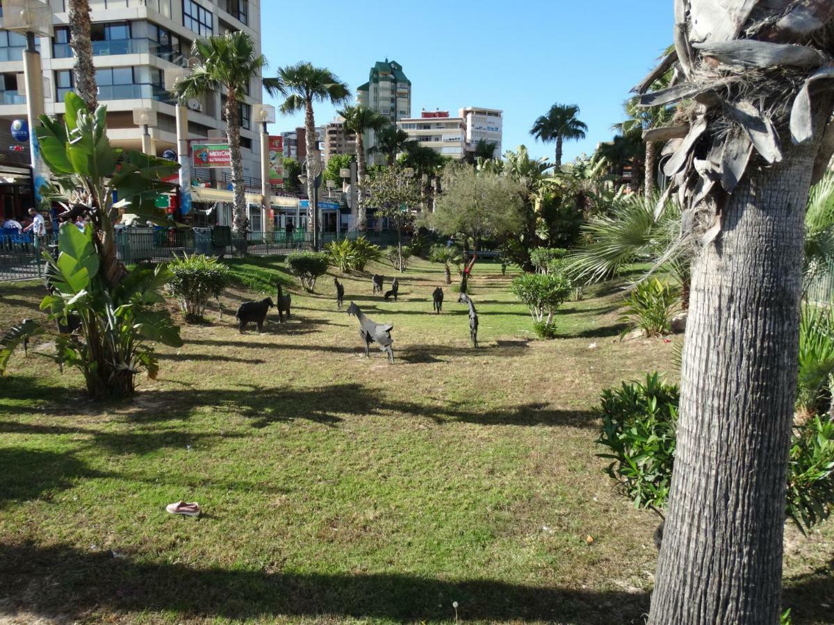 Apartment 2 bedrooms, 250m Levante beach Benidorm Esterno foto